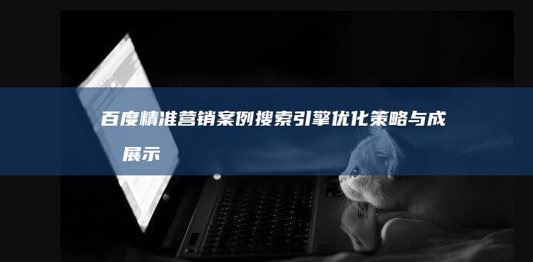 百度精准营销案例：搜索引擎优化策略与成效展示